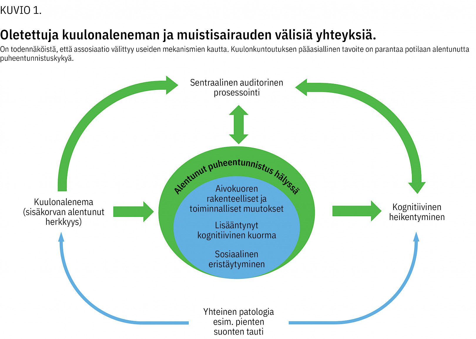 Kuulonalenema Sis Korvaan Rajoittuva Ongelma Vai Laajempi