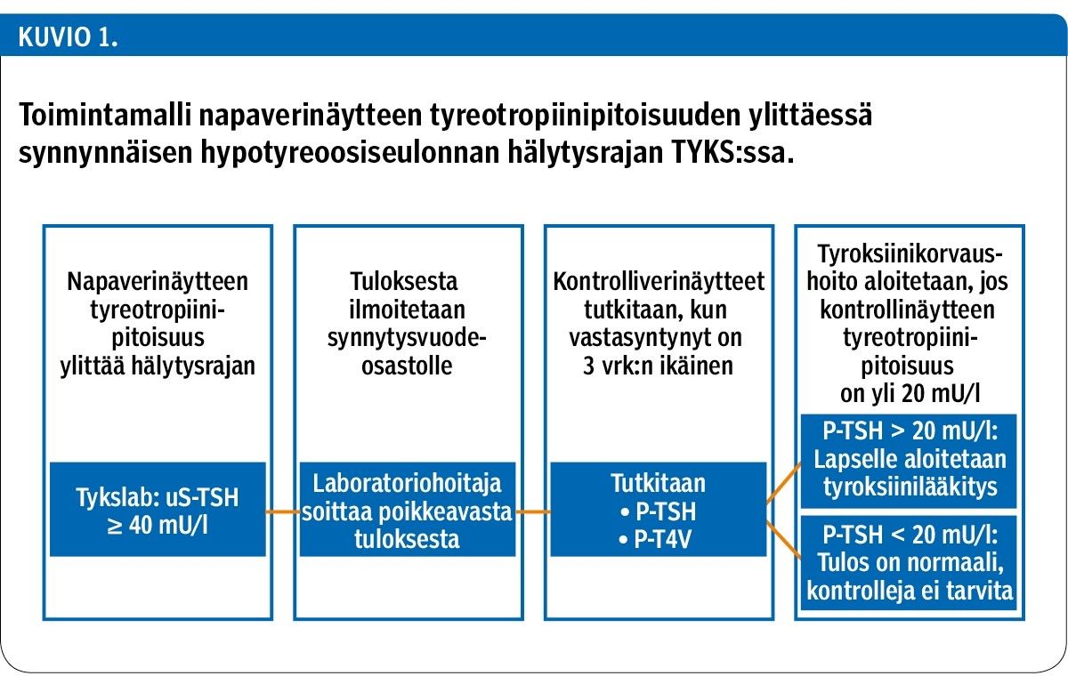 Lääkärilehti - Synnynnäisen hypotyreoosin seulonta vastasyntyneiltä kuiva-  ja napaverinäytteistä