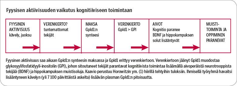 Laakarilehti Kavelemalla Karkuun Alzheimerin Tautia