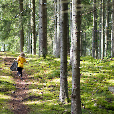 Katse kohti luontoa