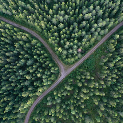 Keuhkosyövän hoitopoluissa alueellisia eroja